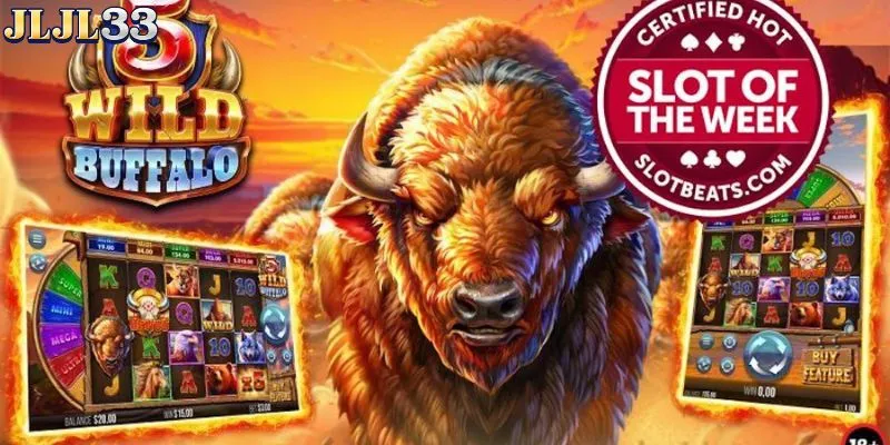 Wild is a special type of symbol in the game